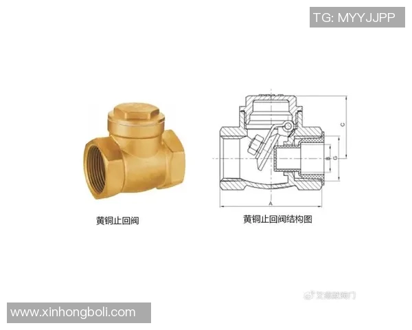 水管阀门选择与维护技巧解析，确保家庭用水安全与节能高效运行